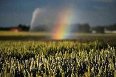 Corrected: Drier than the Sahara: heatwave fans fire risk for French farmers