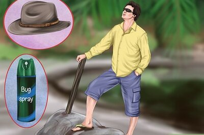 How to Ride an Elephant