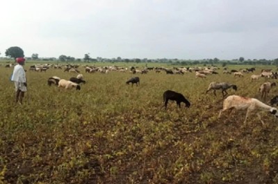 Retail Inflation for Farm, Rural Workers Rise Marginally in March Due to Higher Food Prices