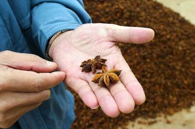 Know Your Spices: Health Benefits of Star Anise And Recipes You Can Try