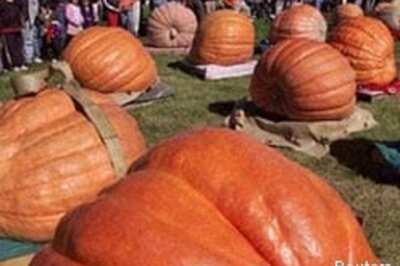 Farmer grows 1,502 pound pumpkin