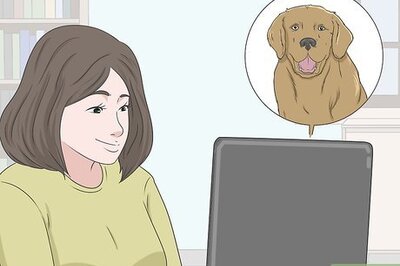 How to Buy a Puppy Online Safely