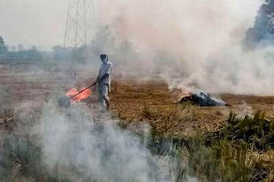 Stubble Burning Share in Delhi's Pollution Rises to 40%, Highest This Year: SAFAR