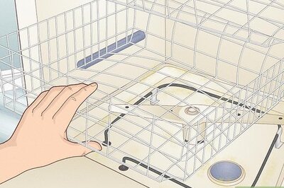 Quick & Easy Way to Get Rid of Mold in Your Dishwasher