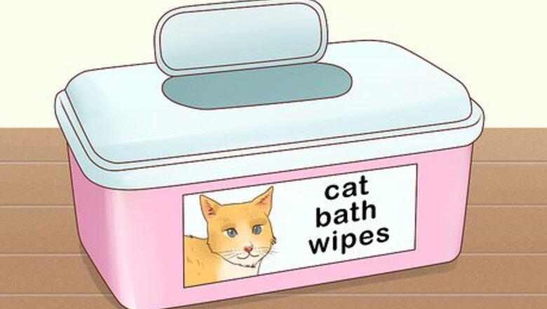 How to Bathe a Cat Without Water