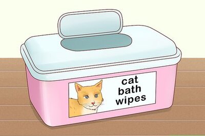 How to Bathe a Cat Without Water